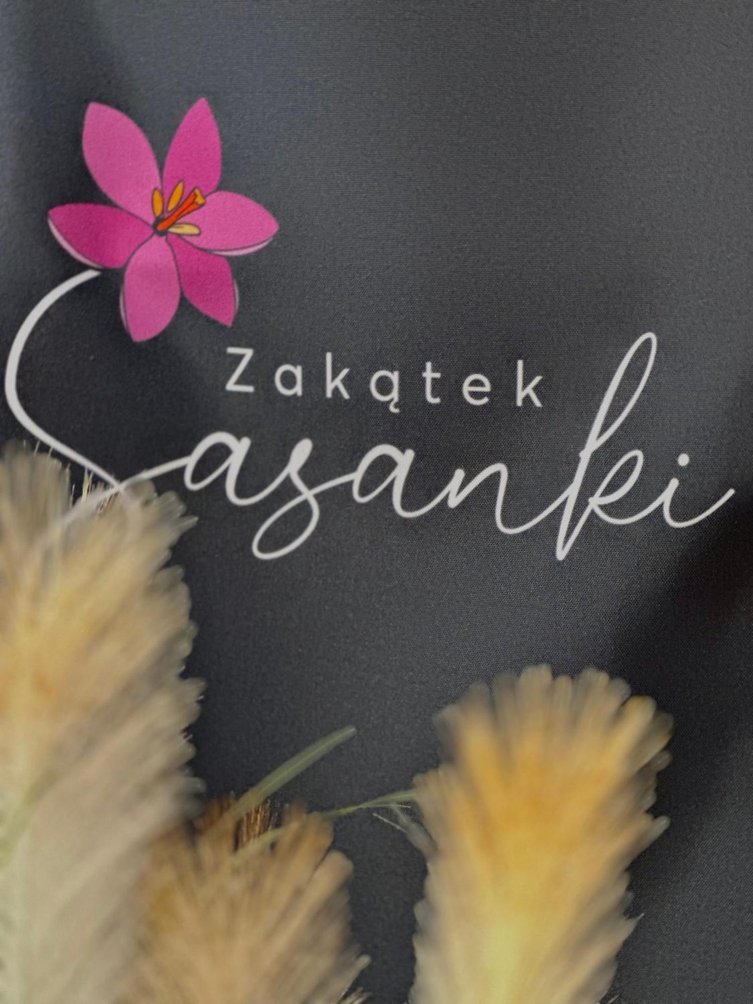 Zakatek Sasanki Villa Лубятово Екстериор снимка